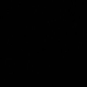 Meet your Posher, Bryan